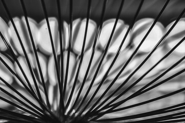 Obraz premium Close-up macro of a thin wire backlit in black and white abstraction macrophotography