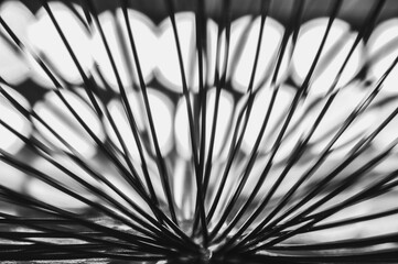 Obraz premium Close-up macro of a thin wire backlit in black and white abstraction macrophotography