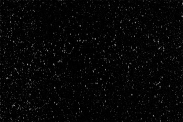 Snowflakes falling gently against a stark black background during a winter evening in a tranquil setting.