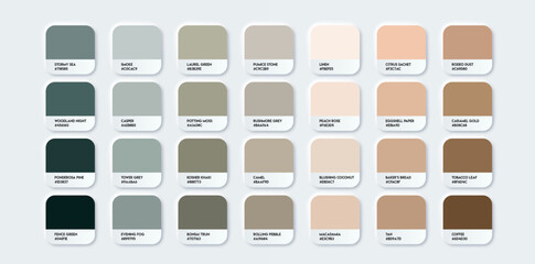 Neutral pastel color palette set in rgb hex. Soft color catalog. Multicolor palette for your design