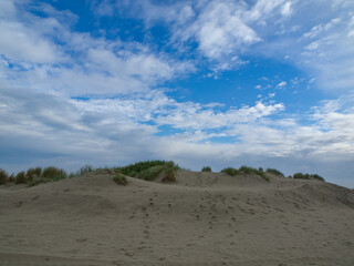 die insel Borkum
