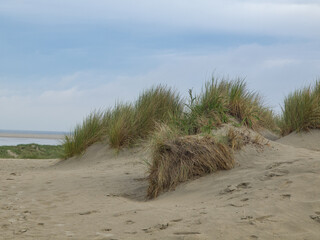 die insel Borkum