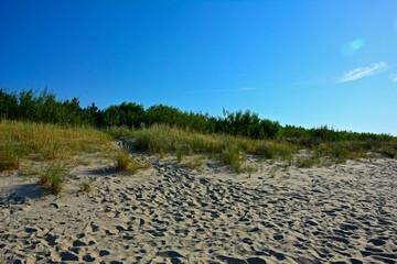 piaszczysta wydma nadmorska, piaszczysta wydma z trawami na tle niebieskiego nieba, seaside sand dune, sand dune with grasses against the background of the sky, nadmorski pejzaż  © kateej