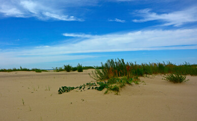 piaszczysta wydma nadmorska, piaszczysta wydma z trawami na tle niebieskiego nieba, seaside sand dune, sand dune with grasses against the background of the sky, nadmorski pejzaż