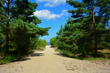 przejście na plażę, nadmorski krajobraz, piaszczysta ściezka i błękitne niebo z białymi churami, passage to the beach, seaside landscape, sandy path and blue sky with white clouds	
