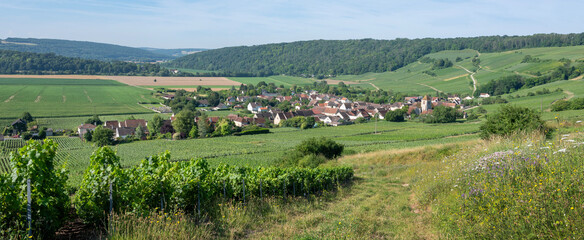 vineyards in ile de france between paris and reims