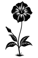 Elegant Petunia Flower Vector Illustration - SVG, Cricut Files, Vector Clipart & T-Shirt Graphics