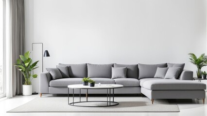 gray sofa in a white living room interior