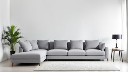 gray sofa in a white living room interior