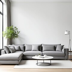 gray sofa in a white living room interior