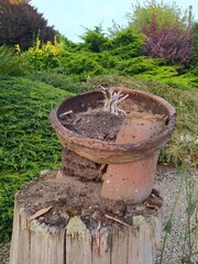 Broken clay pot in the garden 