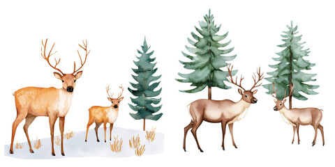 Illustration of deer in a snowy forest with evergreen trees. Perfect for winter or holiday themes in nature or wildlife scenes.