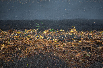 Paisajes de la Patagonia Argentina durante otoño, donde se pueden apreciar puertos y cabañas entre las imponentes montañas y los increíbles lagos junto con una tupida y colorida vegetación.