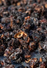 Macro of Seedless Tamarind or Imli Fruit Coated in White Salt to Preserve