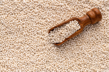 Sagu starch balls - Tapioca pearls on the spoon. Manihot esculenta.