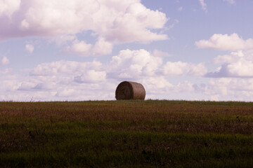 A haybale in a field with blue skies above