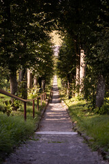 A long view of a staircase going down