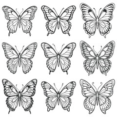 Butterfly hand drawing line art collection vector illustration isolated on white background
