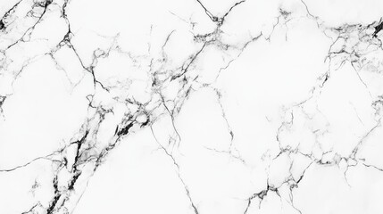 Fototapeta premium This stunning pattern features a beautiful white marble texture with striking black veining, perfect for luxurious designs, elegant backgrounds, and sophisticated home decor that elevates any space