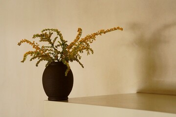 Yellow flowers in vase; tall goldenrod or giant goldenrod; Solidago Gigantea