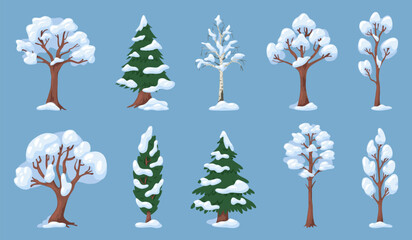 Trees with snow branches. Coniferous and deciduous plants. Winter snowdrifts in park. Evergreen spruce greenery. Snowy cypress and birch. Cold season nature. Wild forest. Recent vector set