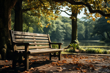 A serene park bench nestled under a canopy of trees, inviting relaxation and contemplation. Concept of tranquility and nature's embrace. Generative Ai.