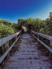 Wooden Walkway to the Beach
