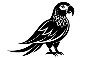 Parrot vector art illustration