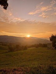 sunshine over the field