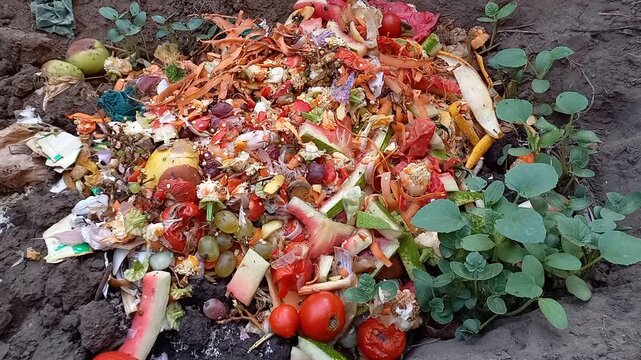 Biowaste Biowaste Images – Browse 927 Stock Photos, Vectors, and Video | Adobe Stock