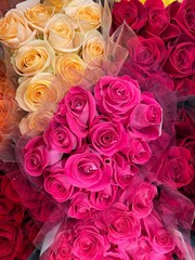 bouquets of roses