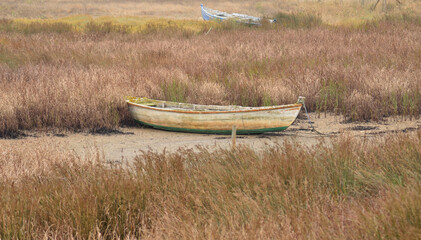 Two old boats stranded on a dry lake with dryed vegetation around, drought, no water, global warming © ajcsm