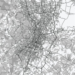 Obraz premium Map of Austin in Texas in grayscale. Contains layered vector with roads water, parks, etc.
