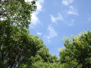 空と雲と緑