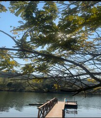 Lago de pesca com trapihe ideal para descansar