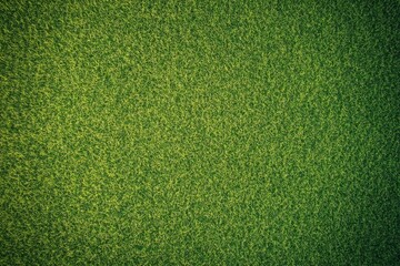 Fototapeta premium High-resolution top view of a lush green grass texture, ideal for a sports field or football playground, captured with sharp focus using a Sony Alpha A7 III.