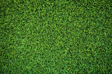 Obraz premium High-resolution top view of a lush green grass texture, ideal for a sports field or football playground, captured with sharp focus using a Sony Alpha A7 III.