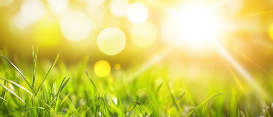 Obraz premium Beautiful blurred spring nature background with bokeh, green grass, and sun flare on a sunny day, ideal for a healthy lifestyle concept.