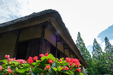 茅葺屋根と花びら