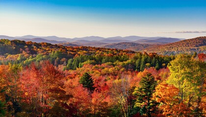 Obraz premium New England in fall bursts with vibrant foliage—crimson, gold, and amber leaves create a stunning, colorful tapestry against clear blue skies.