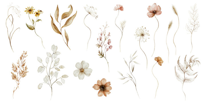 Watercolor floral illustration - wildflowers individual element set. Autumn fall dried flowers leaves branches. Wedding invitations prints wallpapers fashion background. Yellow white silver dull.