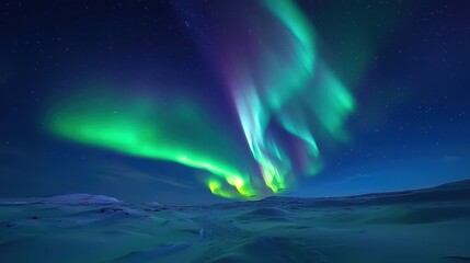 Winter Night Sky Illuminated by the Northern Lights Over a Snowy Arctic Landscape
