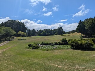 landscape with mountains and sky