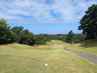 Fototapeta premium golf course in the morning