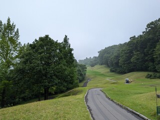road in the park
