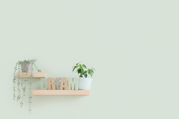 Shelves with plant and decor on light green wall
