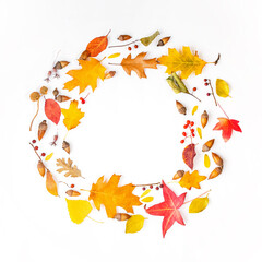 Autumn leaves arranged in a circular pattern on a white background