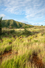 Road to the mountain. Arid mountains. Paths through the mountains with cacti and xeric vegetation. Red earth.