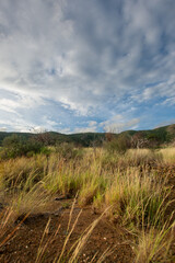 Road to the mountain. Arid mountains. Paths through the mountains with cacti and xeric vegetation. Red earth.