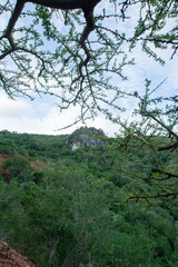 Obraz premium Road to the mountain. Arid mountains. Paths through the mountains with cacti and xeric vegetation. Red earth.